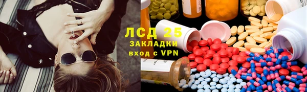 ГАЛЛЮЦИНОГЕННЫЕ ГРИБЫ Алзамай