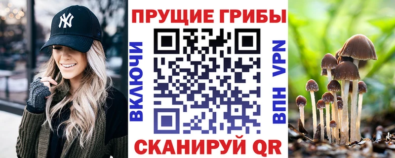 закладки  кракен tor  Галлюциногенные грибы Magic Shrooms  Закаменск 
